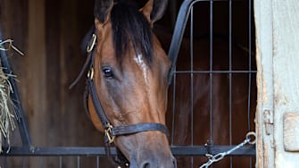 Future is Now will race at Saratoga