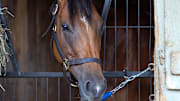 Mrs. Astor racing in Del Mar