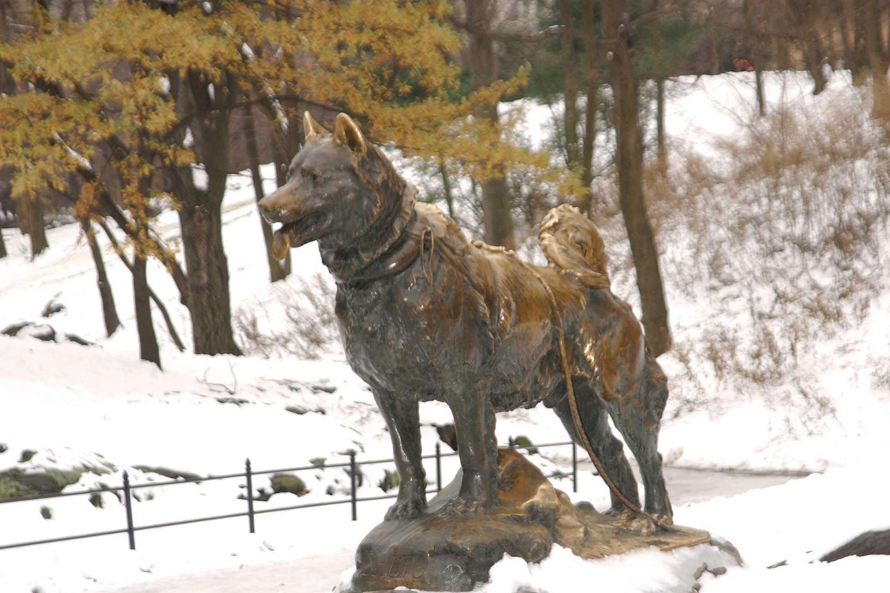 The statue of Balto in Central Park