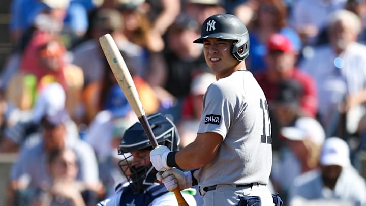Apr 19, 2025; Tampa, Florida, USA;New York Yankees shortstop Anthony Volpe (11) uses a torpedo bat against the Tampa Bay Rays in the third inning at George M. Steinbrenner Field. Apr 19, 2025; Tampa, Florida, USA;New York Yankees shortstop Anthony Volpe (11) uses a torpedo bat against the Tampa Bay Rays in the third inning at George M. Steinbrenner Field.
