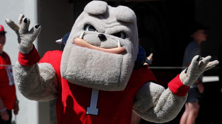 Georgia mascot Hairy Dawg arrives with the team before the start of the G-Day spring football game in Athens, Ga., on Saturday, April 13, 2024.