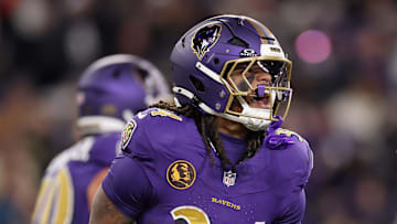 Cincinnati Bengals v Baltimore Ravens