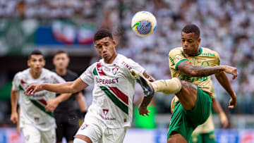 Palmeiras v Fluminense - Brasileirao 2024
