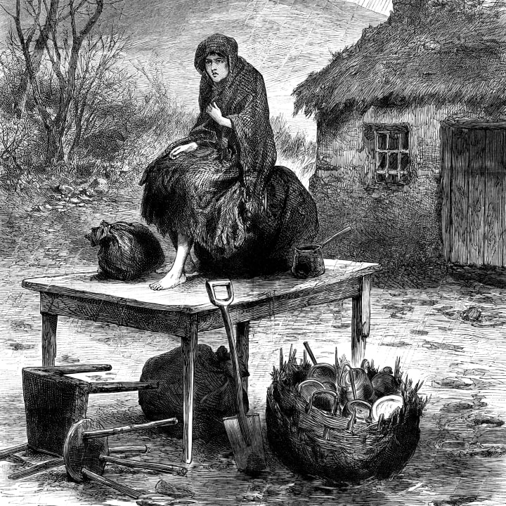 Irish peasant girl guarding the family's last few possessions, 1886.