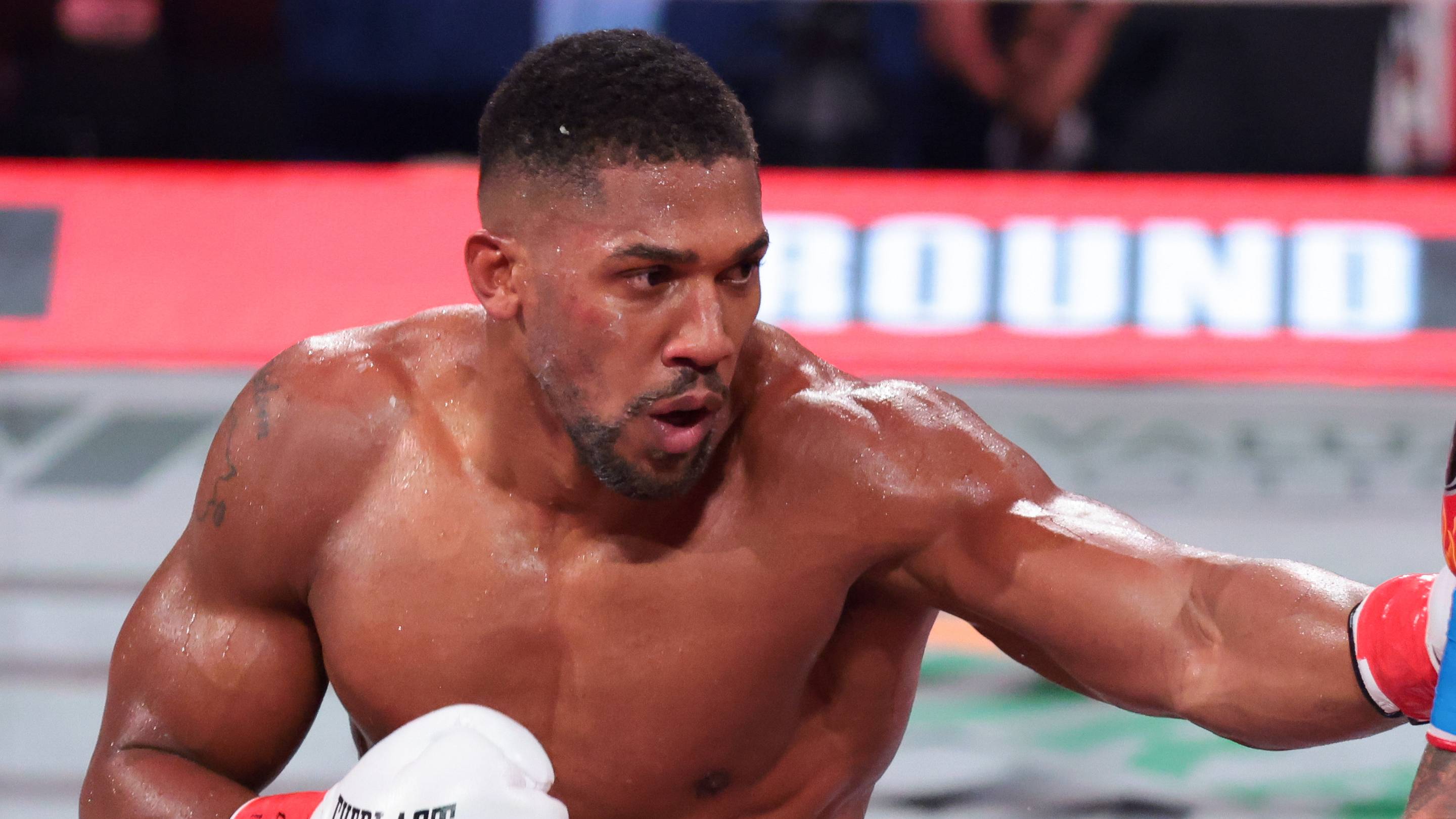 Tyson Fury and Anthony Joshua Given Shock World Title Shot for December Fight