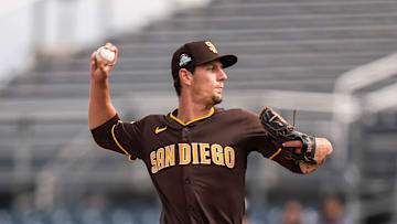 2025 MLB Spring Breakout
