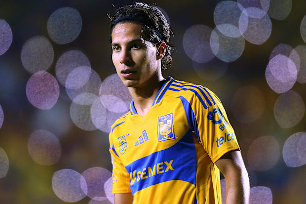 Diego Linez por Tigresa.
