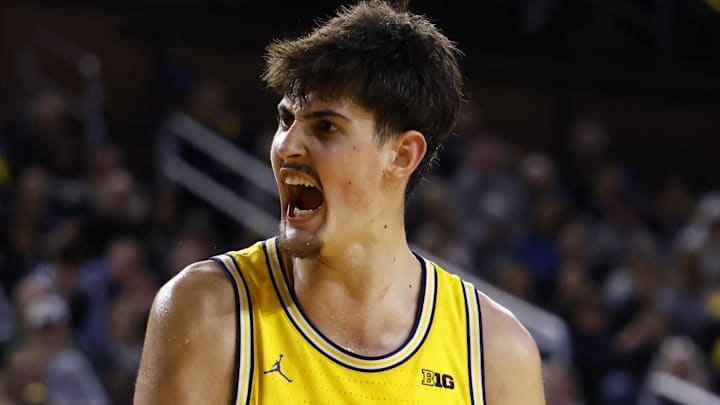 Michigan Wolverines center Aday Mara (15) reacts in the second half against the McNeese Cowboys at Crisler Center on December 29, 2025.