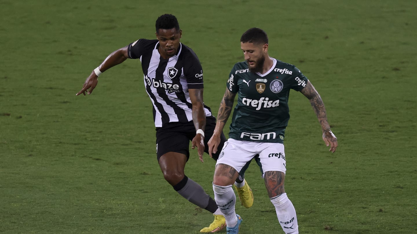 Botafogo-SP anuncia reforço para o ataque 