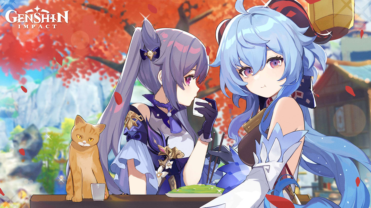 Genshin Impact Promo Codes January 2022