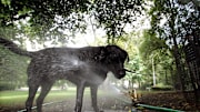 Heat Wave Grips New York City