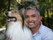 National Geographic Channel's 100th Episode Of The "Dog Whisperer"