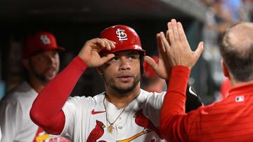 Chicago White Sox v St. Louis Cardinals
