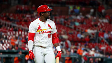 Houston Astros v St. Louis Cardinals