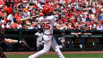 Houston Astros v St. Louis Cardinals