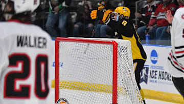 American International College v St. Cloud State