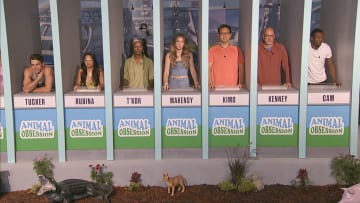 BIG BROTHER season 26 July 28 on the CBS Television Network and live streaming on Paramount+ and PlutoTV. Pictured: HOH Competition: Tucker Des Laruriers, Rubina Bernabe, T’Kor Clottey, Makensy Manbeck, Kimo Apaka, Kenney Kelley and Cam Sullivan-Brown. Photo: CBS ©2024 CBS Broadcasting, Inc. All Rights Reserved. Highest quality screengrab available.
