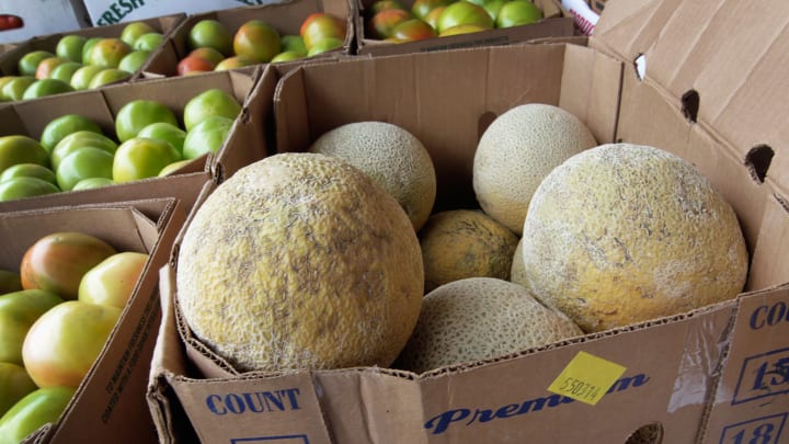 Listeria Outbreak In Cantaloupe Causes Deaths And Illnesses Across 18 States