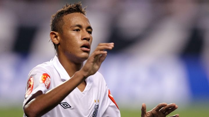 Botafogo v Santos - Brazilian Championship 2010