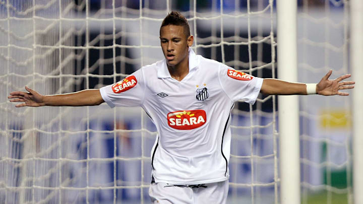 Botafogo v Santos - Brazilian Championship 2010