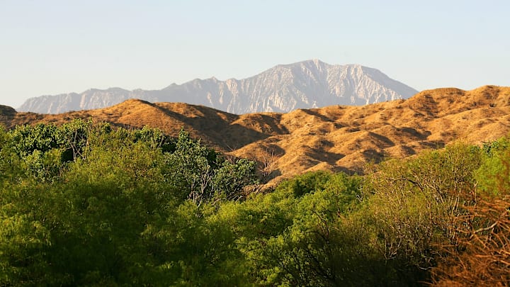 "Green Path" Energy Corridor Raises Environmental Dilemma "Green Path" Energy Corridor Raises Environmental Dilemma