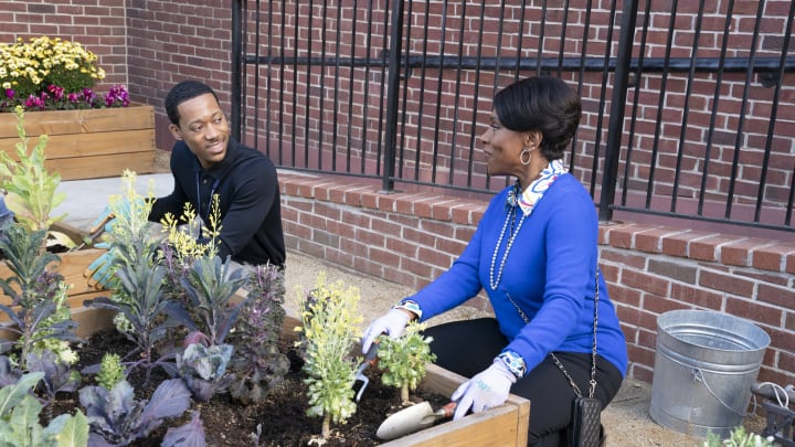 TYLER JAMES WILLIAMS, SHERYL LEE RALPH