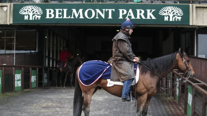 Odds and Contenders for the 2022 Belmont Stakes. 