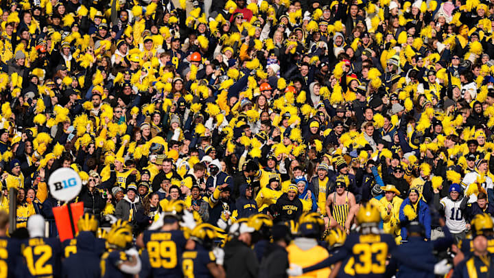 Nov 25, 2023; Ann Arbor, Michigan, USA; Michigan Wolverines fans cheer during the NCAA football game against the Ohio State Buckeyes at Michigan Stadium. Ohio State lost 30-24.