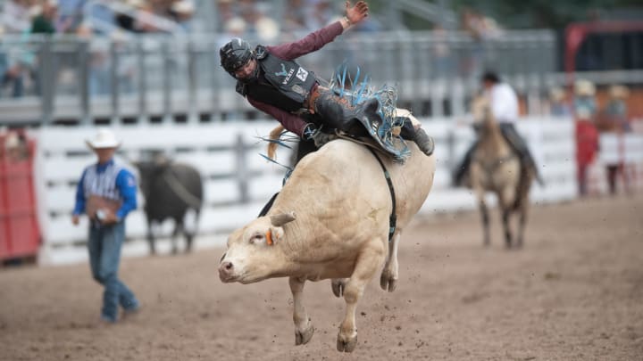 Wacey Schalla became the first bull rider to score more than 90 points at the 128th Cheyenne Frontier Days Rodeo, riding Dakota Rodeo’s Sneaky Situation for 91 points to win Friday's first semifinal and advance to championship Sunday. 