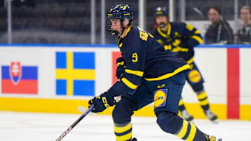 Team Slovakia v Team Sweden