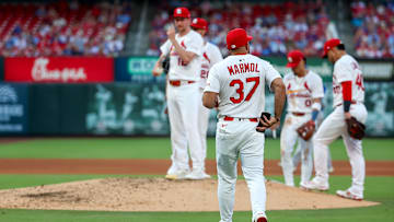 Chicago Cubs v St. Louis Cardinals
