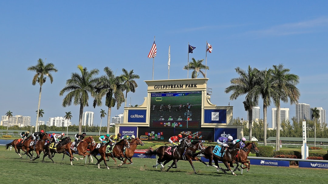 TVG Promo for the Pegasus World Cup Invitational. TVG Promo for the Pegasus World Cup Invitational.