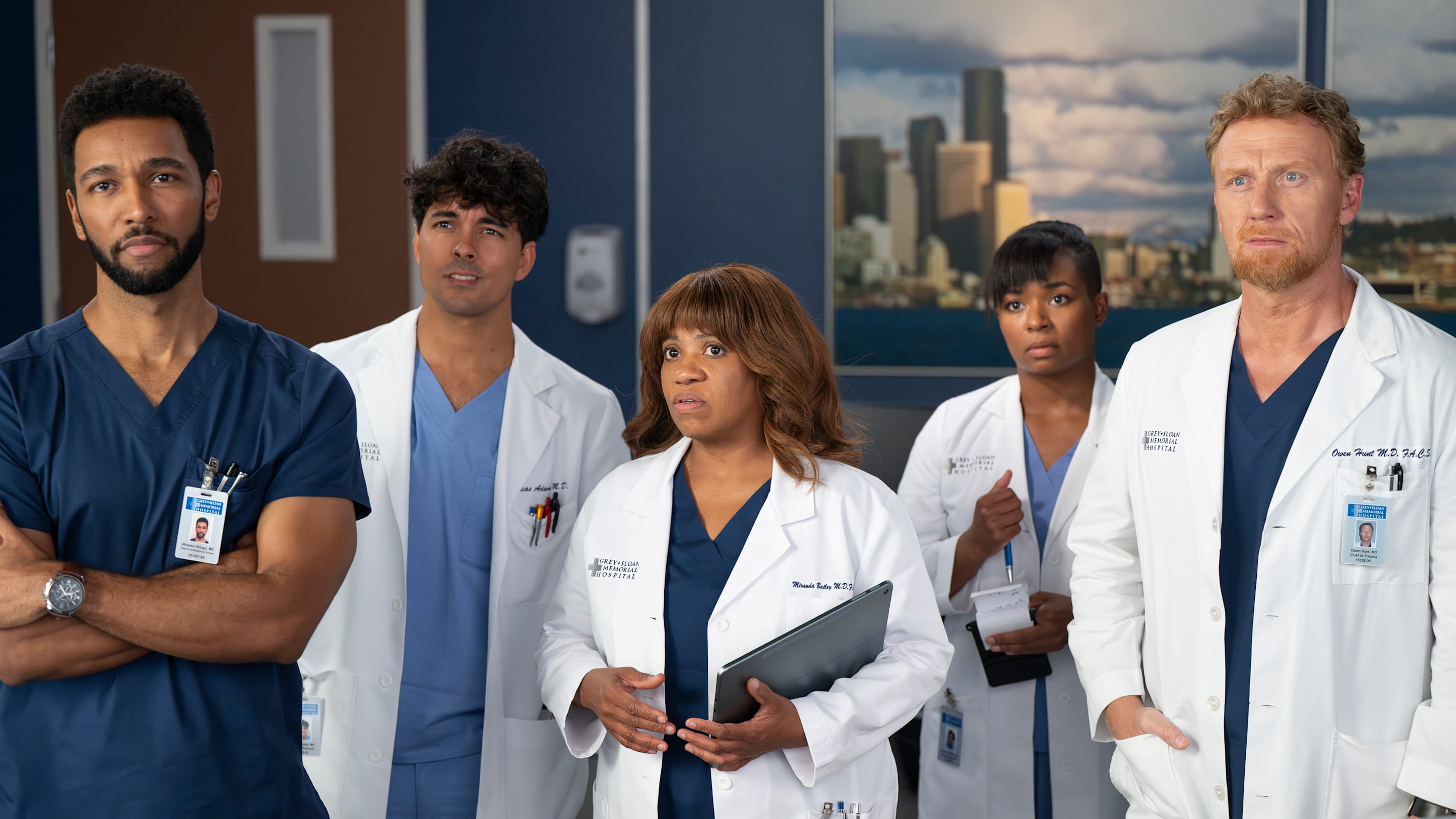 Grey's Anatomy star isn't ruling out an appearance in HBO's Harry Potter series