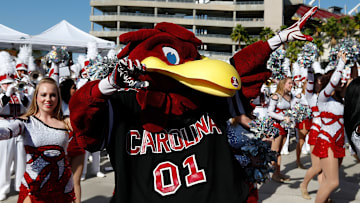 Outback Bowl - South Carolina v Michigan