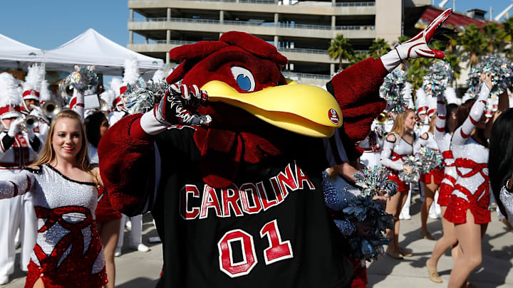 Outback Bowl - South Carolina v Michigan