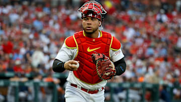 Houston Astros v St. Louis Cardinals