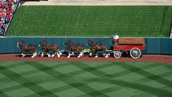 The Budweiser Clydesdales circle Busch Stadium on Opening Day 2023