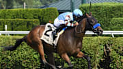 Italian Soiree wins the G3 Coronation Cup at Saratoga Race Course on July 11, 2025.  Photo credit: Janet Garaguso/NYRA.