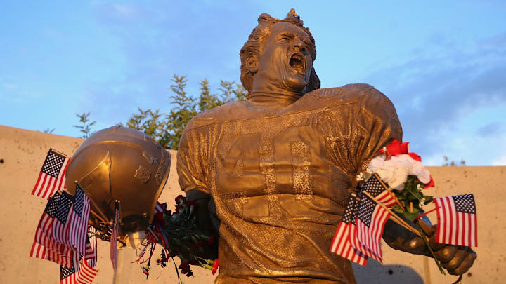 Carolina Panthers v Arizona Cardinals