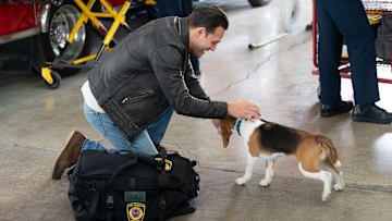 9-1-1 - ÒSob StoriesÓ - The 118 responds to a fire at a local animal shelter and races to evacuate all the animals. Meanwhile, Maddie takes a 9-1-1 call that sets her on a quest for answers. THURSDAY, MARCH 6 (8:00-9:00 p.m. EST), on ABC. (Disney/Christopher Willard)
RYAN GUZMAN