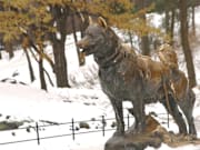"Balto" Central Park New York City