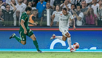 Palmeiras e Santos se encontram para decisão no Brasileirão