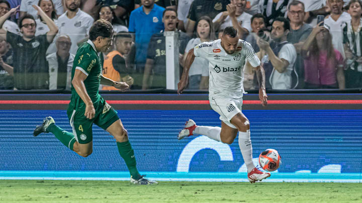 Palmeiras e Santos se encontram para decisão no Brasileirão