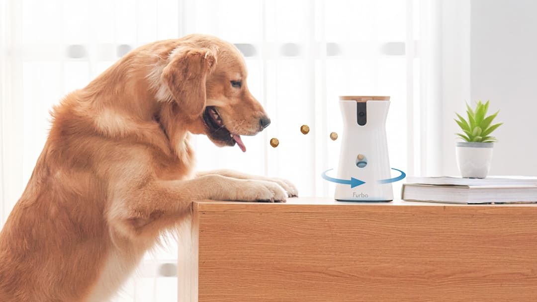 Furbo Nanny will watch your pets while you're away. Image courtesy