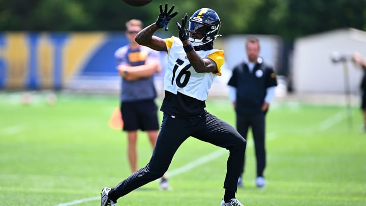 Pittsburgh Steelers WR Quez Watkins