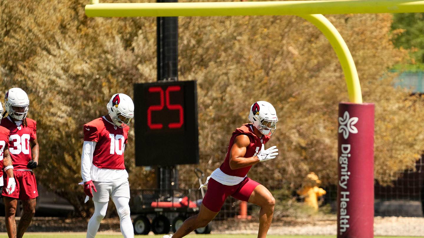 Arizona Cardinals WR Projected to Break Out