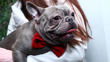 Max-Bone Santa Event NYC