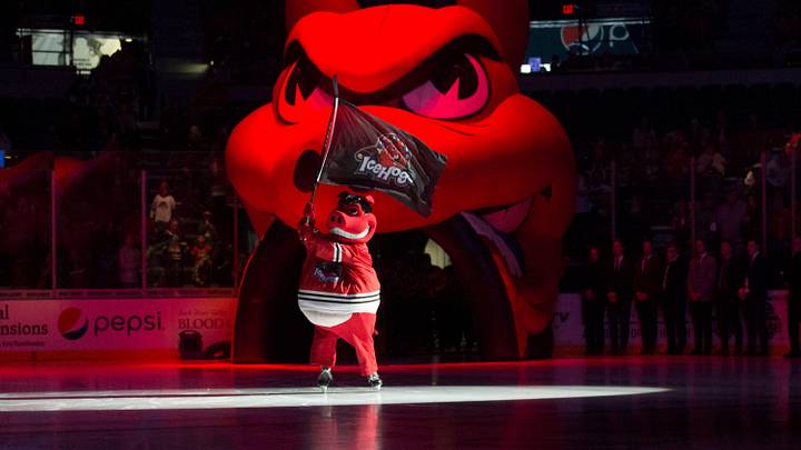 Hammy enters the ice before the IceHogs' game against Grand Rapids Saturday, Oct. 12, 2019, at BMO Harris Bank Center in Rockford.

Icehogs Bmo Harris Bank Center