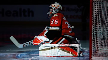 Dallas Stars v Anaheim Ducks