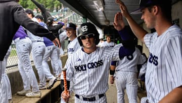 Holy Cross outfielder CJ Egrie, center, celebrates with the dugout after scoring on a double by Chris Baillargeon in the bottom of the seventh inning versus Army on Sunday May 18, 2025 at Fitton Field in Worcester.